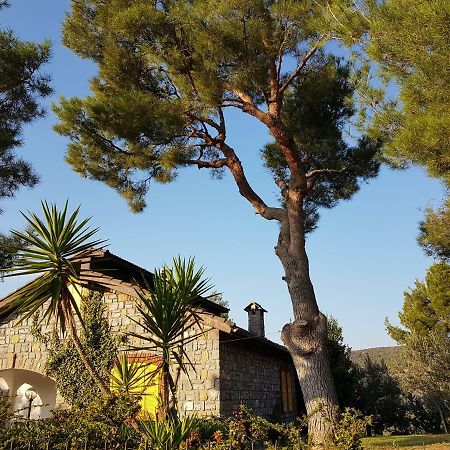 Villa Fior Di Lavanda Cisano sul Neva Exterior foto