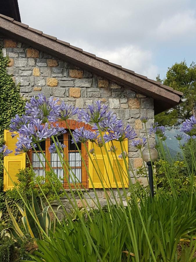 Villa Fior Di Lavanda Cisano sul Neva Exterior foto