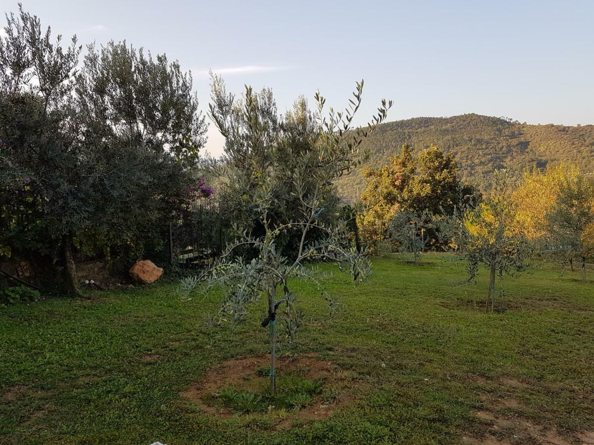 Villa Fior Di Lavanda Cisano sul Neva Exterior foto